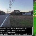 【ドラクエウォークLive】災厄の目覚めイベント後半第４章と北本さんぽ【ツイキャス同時配信】
