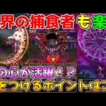 【ドラクエウォーク】異界の捕食者も楽勝！！気をつけるポイントはコレ！！