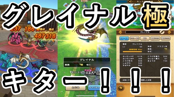 ６体目でグレイナルの極が来てしまいました！！グレイナルの強さについても解説します！！