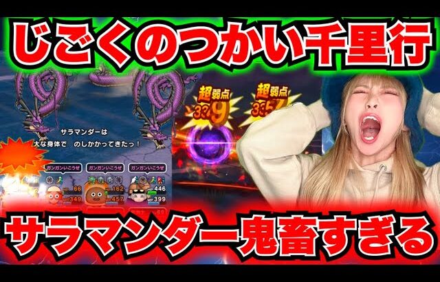 【ドラクエウォーク】サラマンダーが強すぎて！無課金ギャル勇者がいく！