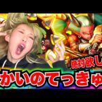 【ドラクエウォーク】お正月復刻ガチャ！無課金ギャル勇者がいく！