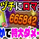 【ドラクエウォーク】驚愕のダメージ!!ミカヅチにぎんがのつるぎ3ターンロマン砲!!やっぱりぎんがは強い!!