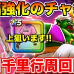 【ドラクエウォーク】しばらく地図はお休み!! 毎日千里行周回するぞぉぉぉぉ!!!!!【DQW】