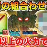 【ドラクエウォーク】念願の組み合わせが遂に実現!! 想像以上の火力でした!!【DQW】