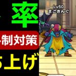 【ドラクエウォーク】●●に特攻!? 究極のベホマラルPで勝率ぶち上げだ!!【なかまモンスター】