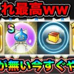 【ドラクエウォーク】今すぐやっておこう。文明堂コラボのカンカンスライムベアが旨すぎる。