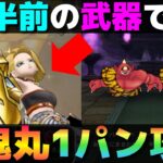 【ドラクエウォーク】ちょっと運が必要だけど『あかおにまる』1パン攻略。
