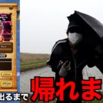 防風雨のあかおにまるＳ出るまで帰れま10【ドラクエウォーク】【ドラゴンクエストウォーク】