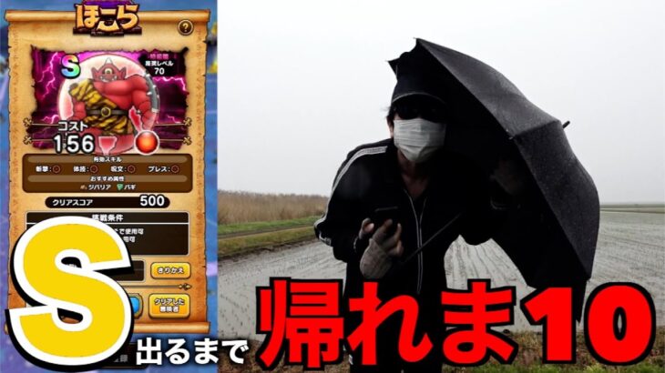 防風雨のあかおにまるＳ出るまで帰れま10【ドラクエウォーク】【ドラゴンクエストウォーク】