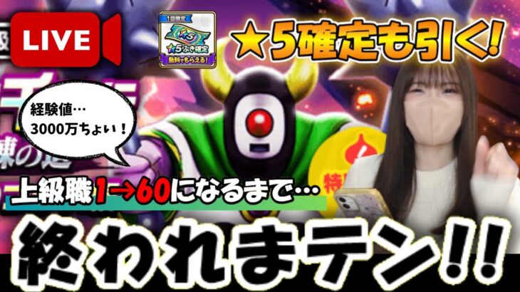 【ドラクエウォーク】経験値アップをフル活用！上級職1→60レベルになるまで終われまテン！！星5武器確定と朝神楽ラストリベンジも！！！