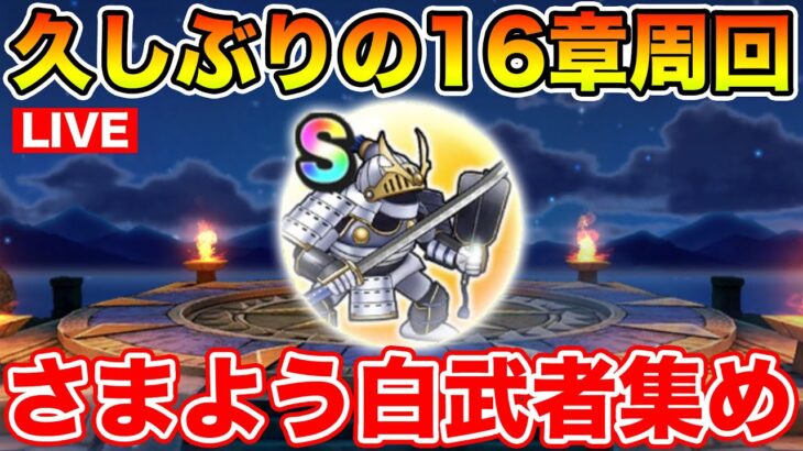 【ドラクエウォーク】久しぶりに16章を周回して白武者を集めます!!【DQW】