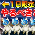 【ドラクエウォーク】戦慄の見た目装備＆尖ったこころ実装!! 1日限定イベでやるべきこと【DQW】