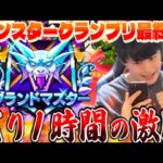【ドラクエウォーク】残り1時間の激闘‼︎「今回こそは初のグラマスの称号ゲットしたいんだ」&極確定卵開封【なかまモンスター】【仲間モンスター】【DQW】