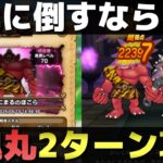 【ドラクエウォーク】手軽な装備で『あかおにまる』2ターン攻略。