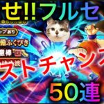 【ドラクエウォーク】最後の50連で奇跡は起きるのか！？孫悟空への道　#ドラクエウォーク #dqw #dqウォーク #孫悟空 #如意棒 #ガチャ #ふくびき #ドラゴンボール #コラボ