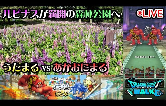 【ドラクエウォークLive】思い出の冒険旅行第２章と新ほこら「あかおにまる」と強風の森林公園さんぽ【ツイキャス同時配信】