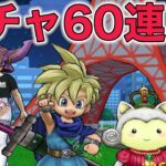 【ドラクエウォークLive】ちょっと出る気がするガチャ60連