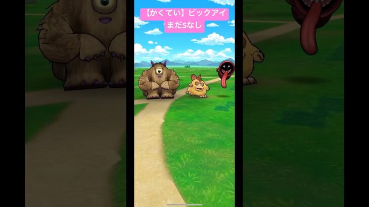 【かくてい】ビックアイ。まだSなし！#ドラクエウォーク #16章