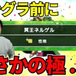 【ドラクエウォーク】もうすぐモングラ！ついに個体更新なるか！？