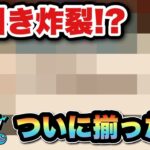 【ドラクエウォーク】ついに引けた！神引き！？