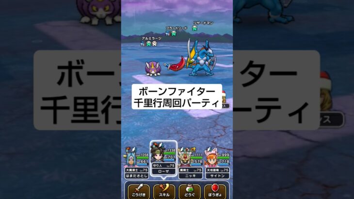【ドラクエウォーク】ボーンファイター千里行周回パーティ