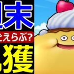 【ドラクエウォーク】週末乱獲メソッドがヤバすぎた!?【スライムプディング】