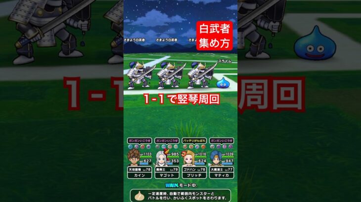 【ドラクエウォーク】噂のさまよう白武者１-１たてごと周回やってみました。