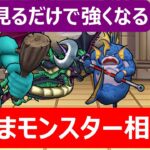【ドラクエウォーク】グランプリの準備どう？今からメチャメチャ強くなるなかもん講座!!【なかまモンスター友の会】