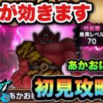 【ドラクエウォーク】あれが効きます！新ほこらあかおにまるの祠を初見攻略！