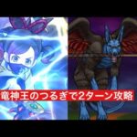 魔犬レオパルド 竜神王のつるぎで2ターン攻略 【ドラクエウォーク】