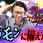 【ピックアップきた…！？】神鳥レティス装備ふくびき夫婦で80連！ギガモン前に勢い爆発🔥【ドラクエウォーク】