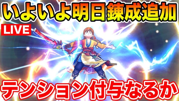 【ドラクエウォーク】遂に明日最強の錬成が来るかもしれない…導きのかけら集めます!!【DQW】