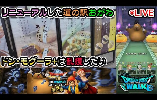 【ドラクエウォークLive】DQⅧ ReWALK 第２章と新ほこら「ドン・モグーラ」と雨の小川町さんぽ【ツイキャス同時配信】