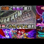 【ドラクエウォークLive】DQⅧ ReWALK 第３章とドルマゲス覚醒と雨の川越さんぽ【ツイキャス同時配信】