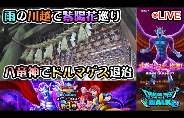 【ドラクエウォークLive】DQⅧ ReWALK 第３章とドルマゲス覚醒と雨の川越さんぽ【ツイキャス同時配信】