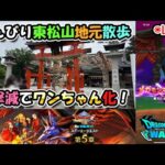 【ドラクエウォークLive】DQⅧ ReWALK 第５章と新メガモン「魔犬レオパルド」と東松山散歩【ツイキャス同時配信】