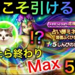 【ドラクエウォーク】狙うは水晶！出たら終了Max50連（予定）ミネア装備ふくびき　#ドラクエウォーク #dqw #dqウォーク #ミネア #復刻 #ガチャ #ふくびき #水晶