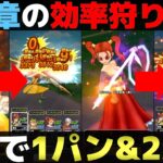 【ドラクエウォーク】武器錬金＆スキル取得のコツを含めたReWALK4章の効率的な狩り方法を紹介します。
