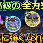 【ドラクエウォーク】ドルマゲス覚醒やバッファロン＆モヒカント覚醒が判明！ガチの全力案件です！