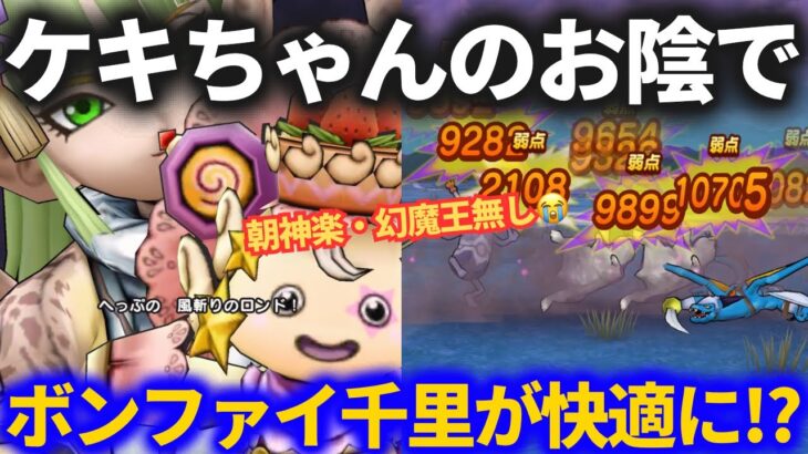 【ドラクエウォーク】ケキちゃんでボンファイ千里行は楽になるのか？【朝神楽・幻魔王・ラーミア無し】【ボーンファイター覚醒千里行】