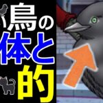 【ドラクエウォーク】黒い鳥の目的がヤバすぎる!?【第三章ストーリー解説】