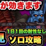 【ドラクエウォーク】まさかのあれが効きます！魔犬レオパルドを初見ソロ攻略！