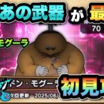 【ドラクエウォーク】あの武器が最強！？倒す順番も大事かも！？ドン•モグーラの祠を初見攻略！