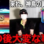 神鳥の翼斧がどうしても欲しくて有償ジェムに全てを託した結果・・・【ドラクエウォーク】【ドラゴンクエストウォーク】