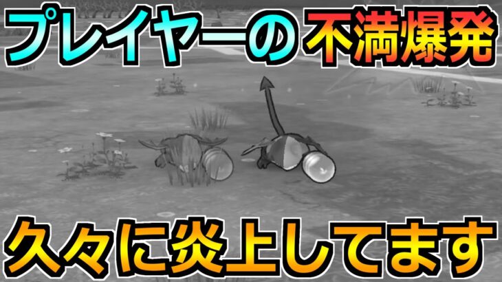 【ドラクエウォーク】モリーサタンで炎上している件について！正直に本音で話します！