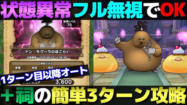 【ドラクエウォーク】ドン・モグーラ＋ほこらの安定攻略。そのまま通常のほこらでも使えます。
