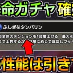 【ドラクエウォーク】次のガチャが大本命と話題に！この性能が来たらマジで熱い！