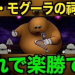ドン・モグーラの祠実装！これは久しぶりの手応えです【ドラクエウォーク】【ドラゴンクエストウォーク】