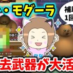 ドン・モグーラのほこらはあの武器が大活躍！補助スキルも１回のみです！！【ドラクエウォーク_vol.417】