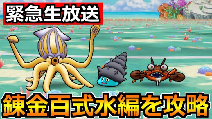 【ドラクエウォーク】錬金百式水編の安定攻略法を探求！1ターン攻略を目指して！！
